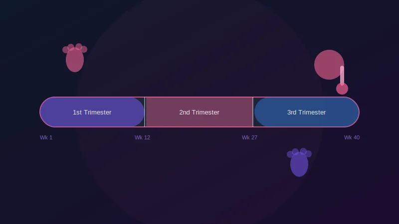 Pregnancy Calculator — Due date, pregnancy week, trimester and milestones